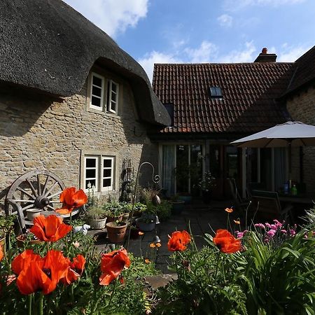 Thatch Cottage Lacock Exteriér fotografie