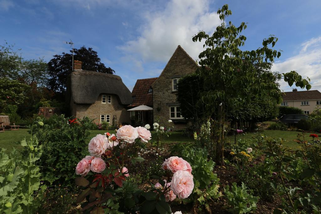 Thatch Cottage Lacock Exteriér fotografie