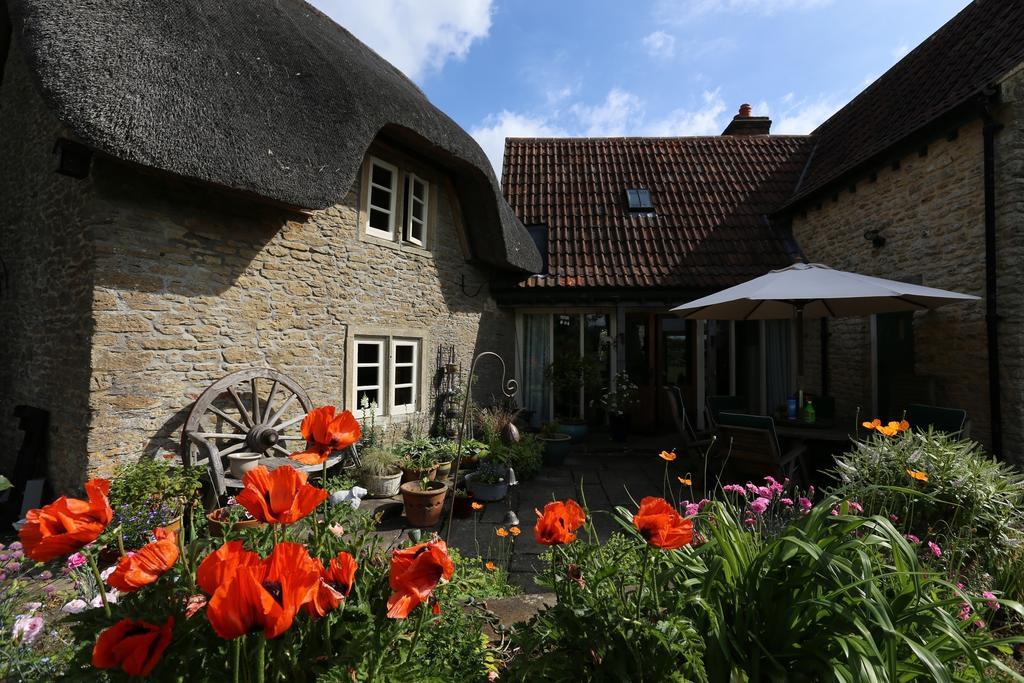 Thatch Cottage Lacock Exteriér fotografie