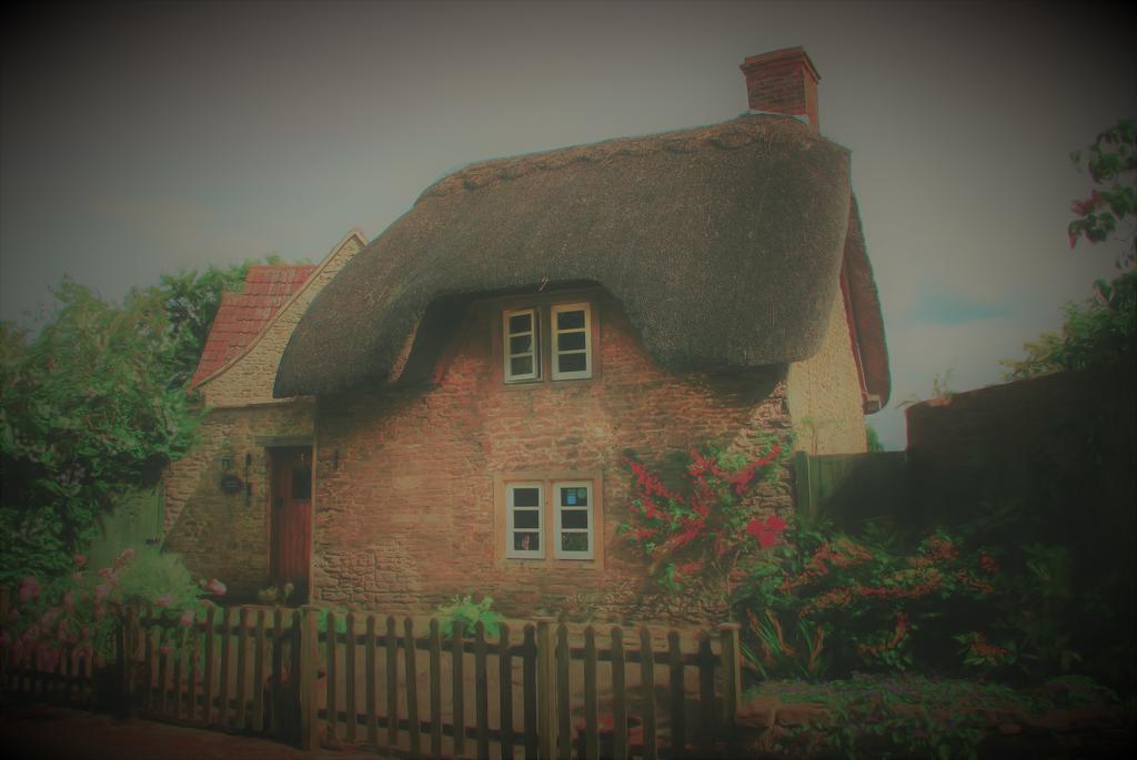 Thatch Cottage Lacock Exteriér fotografie